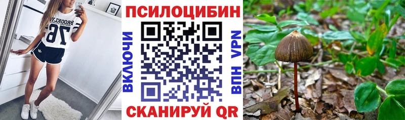 Галлюциногенные грибы мицелий  Гулькевичи 
